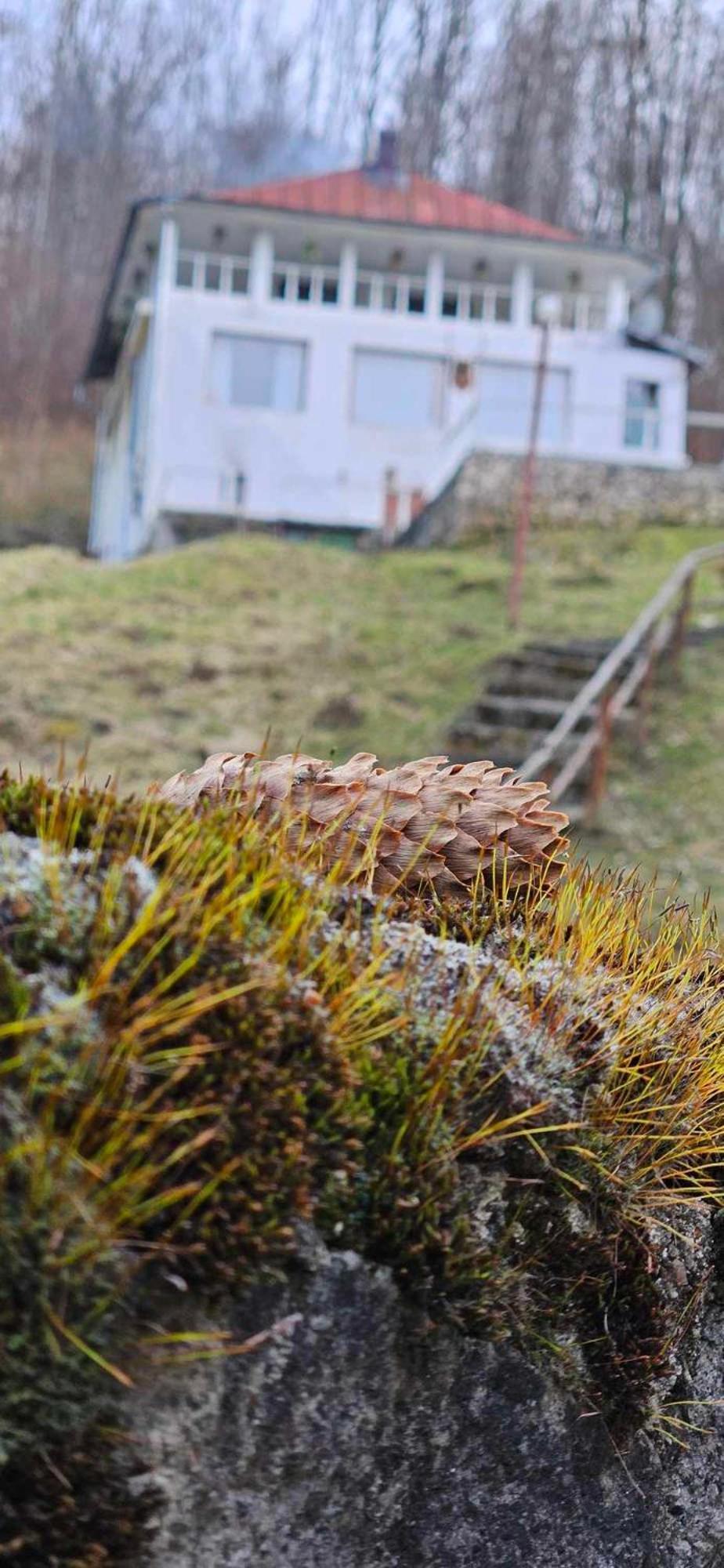 Cabana Cerbu Bozovici Bagian luar foto