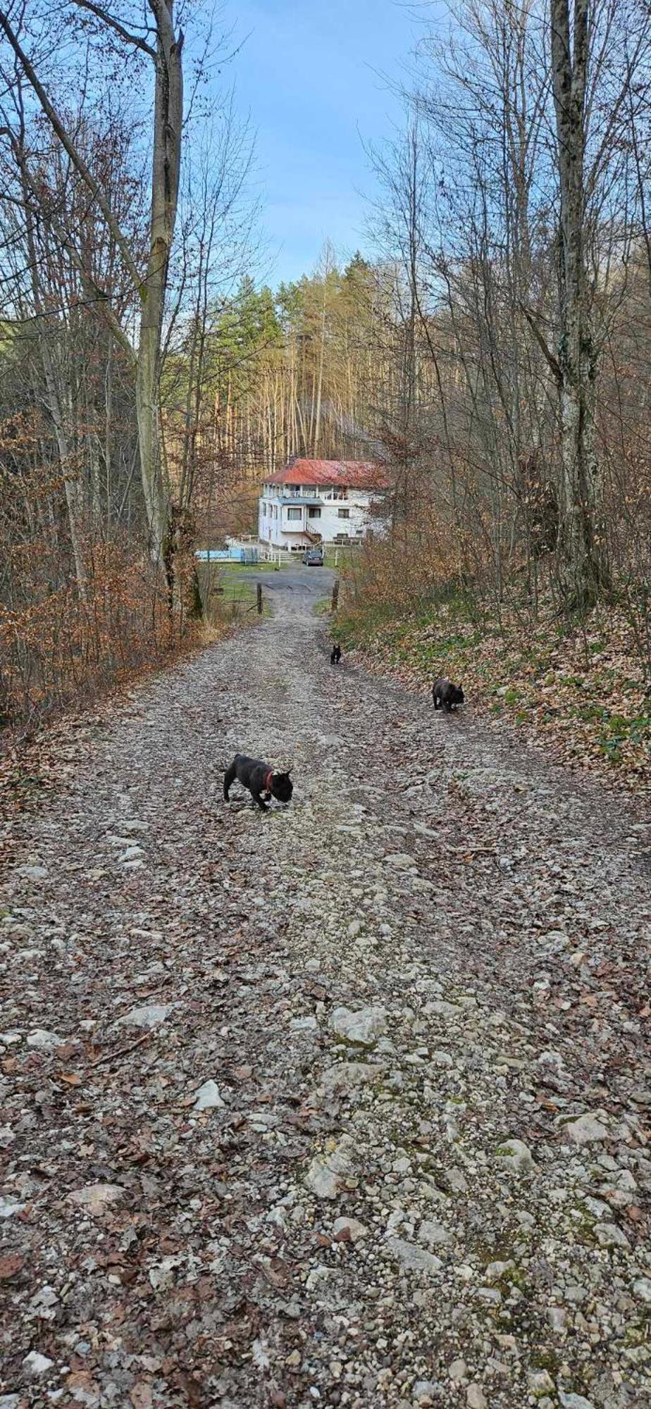Cabana Cerbu Bozovici Bagian luar foto